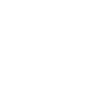 Iron Link Performance logo